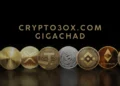 crypto30x.com gigachad
