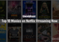 Netflix Streaming Now