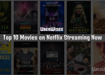 Netflix Streaming Now