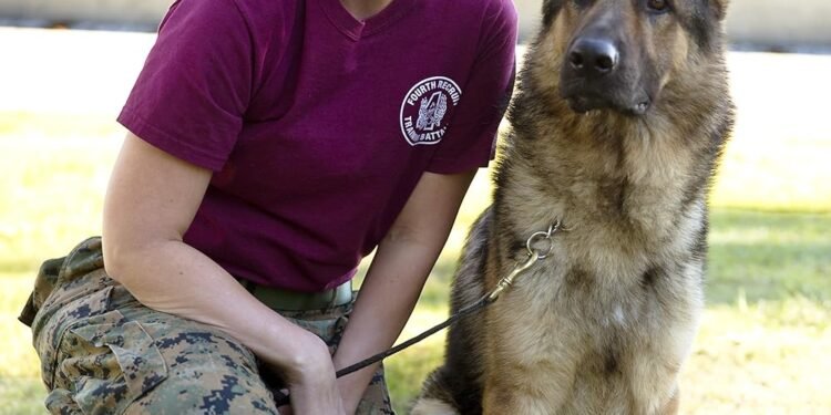 Is Megan Leavey Married Matt Morales Relationship